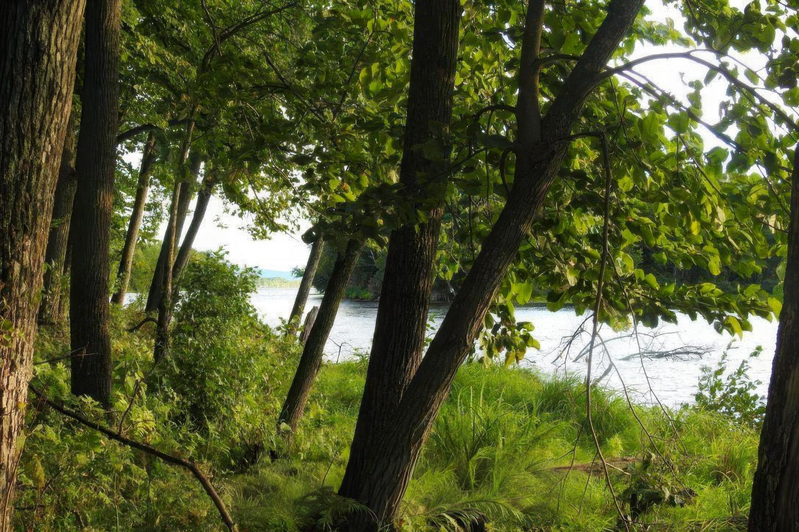Butternut Island – Private island in Eastern Ontario, Ontario, Canada