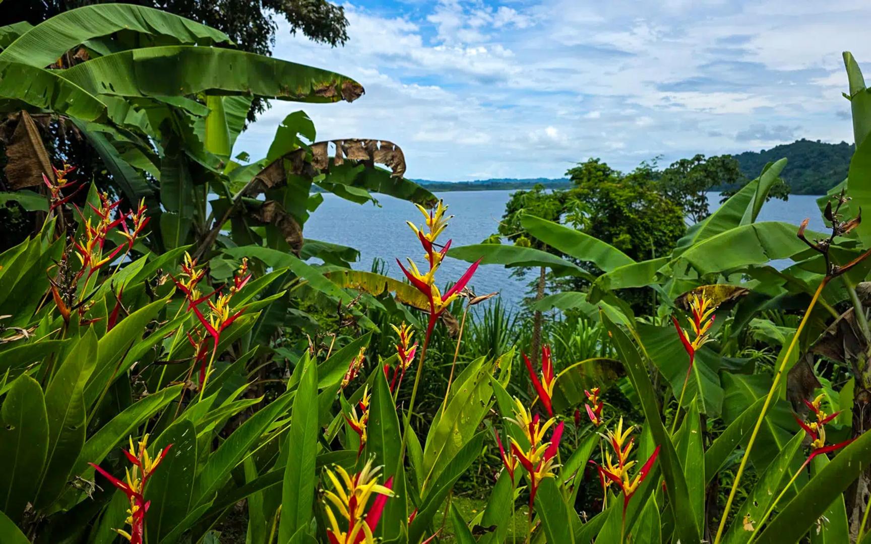 Cayo Roldán – Private island in Panama, Central America