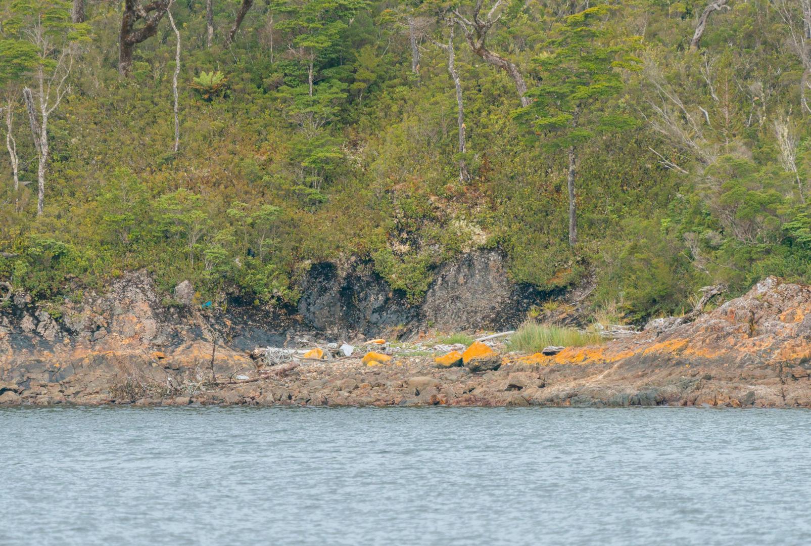 Isla Garcia – Private island in Chile, South America