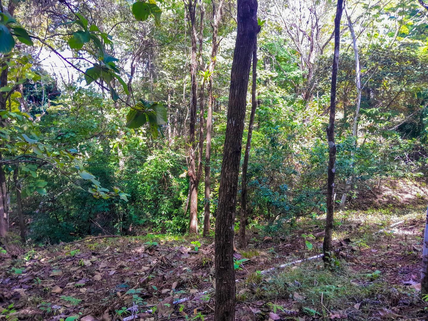 Isla Cébaco – Private island in Panama, Central America