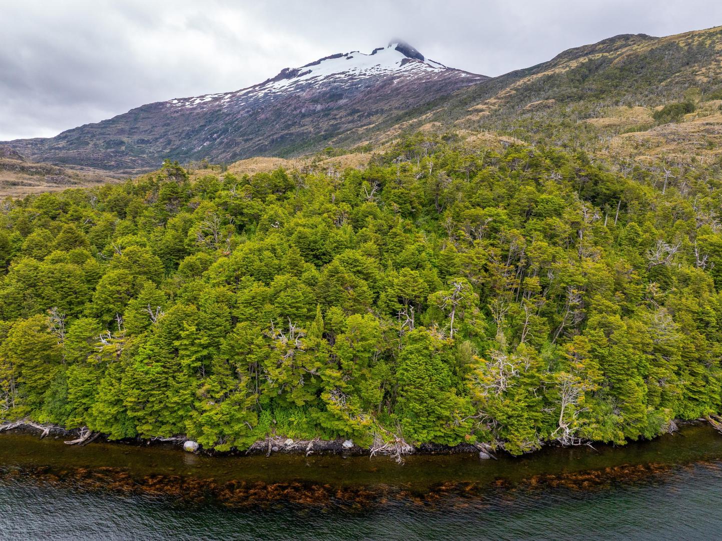 Isla Focus – Private island in Chile, South America