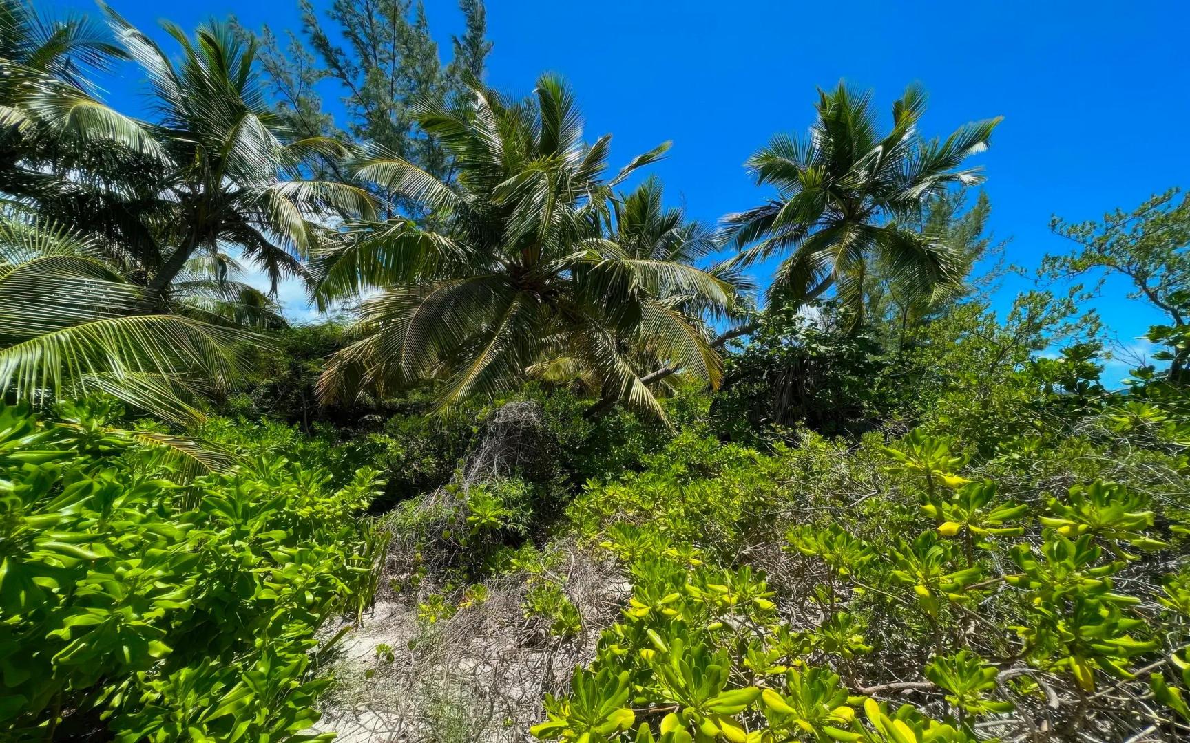 Jewel Point - Royal Island – Private island in Eleuthera, Bahamas, Caribbean