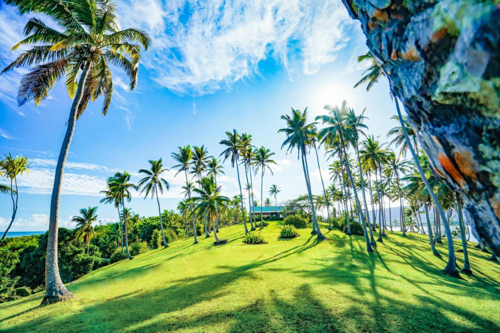 Onyx Island – Private island in Fiji, South Pacific