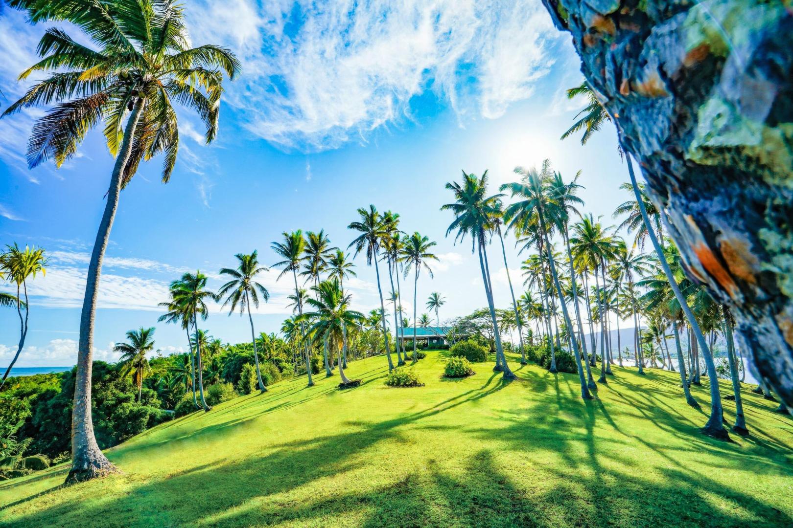 Onyx Island – Private island in Fiji, South Pacific