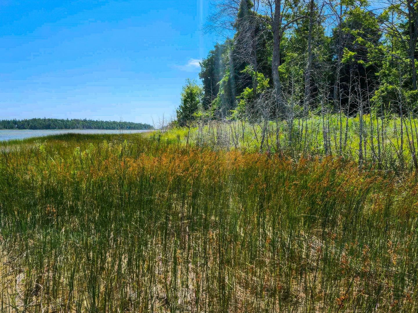 Rabbit Island – Private island in Ontario, Canada