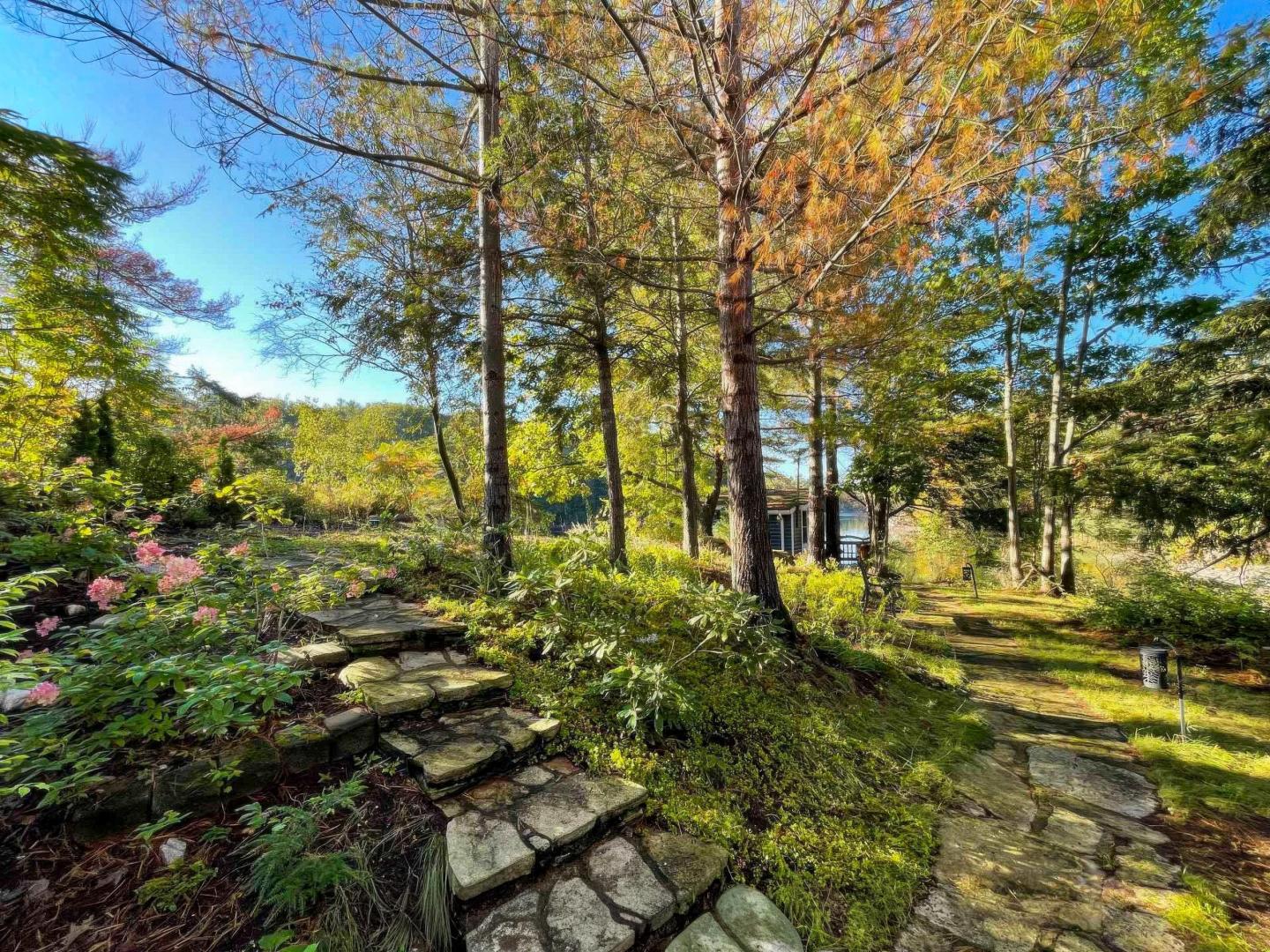 Veridian Island – Private island in Eastern Ontario, Ontario, Canada
