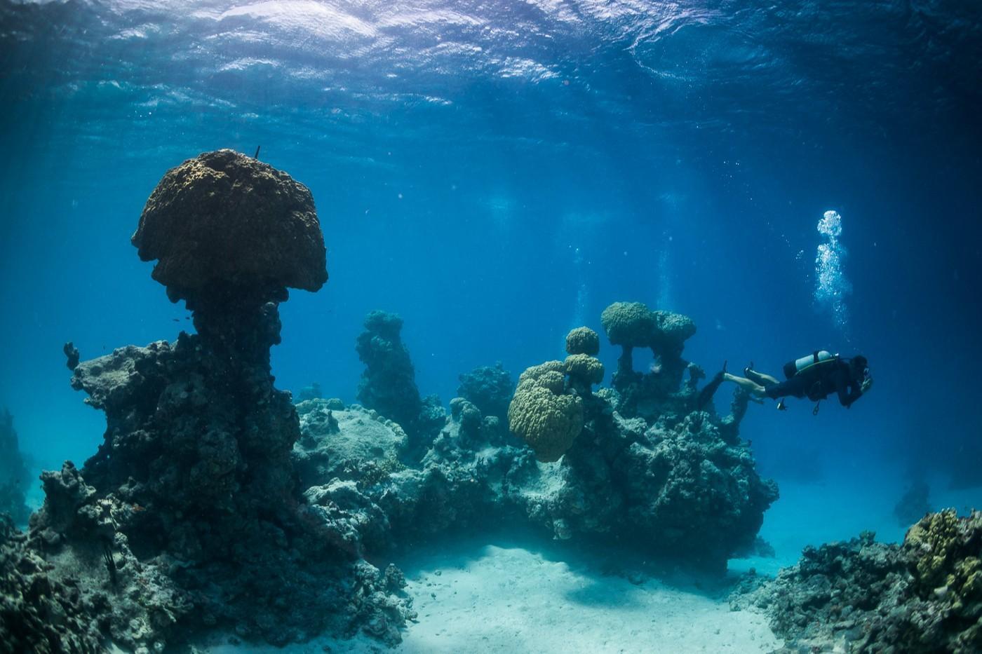 Beran Island – Private island in Marshall Islands, South Pacific