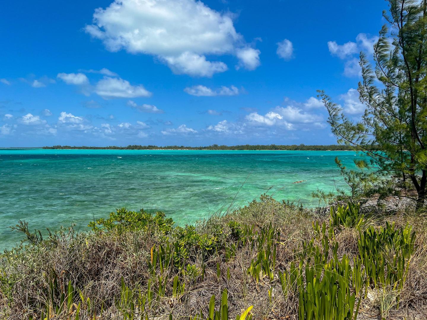 Bird Cay – Private island in The Berry Islands, Bahamas, Caribbean