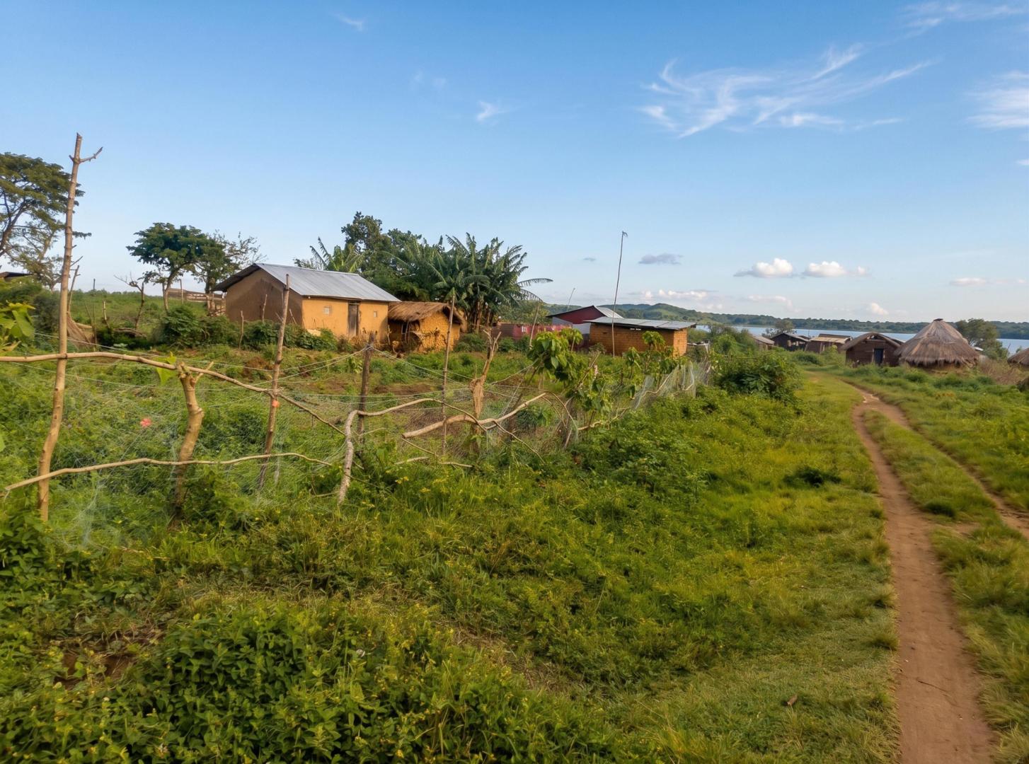 Buziri Island – Private island in Africa