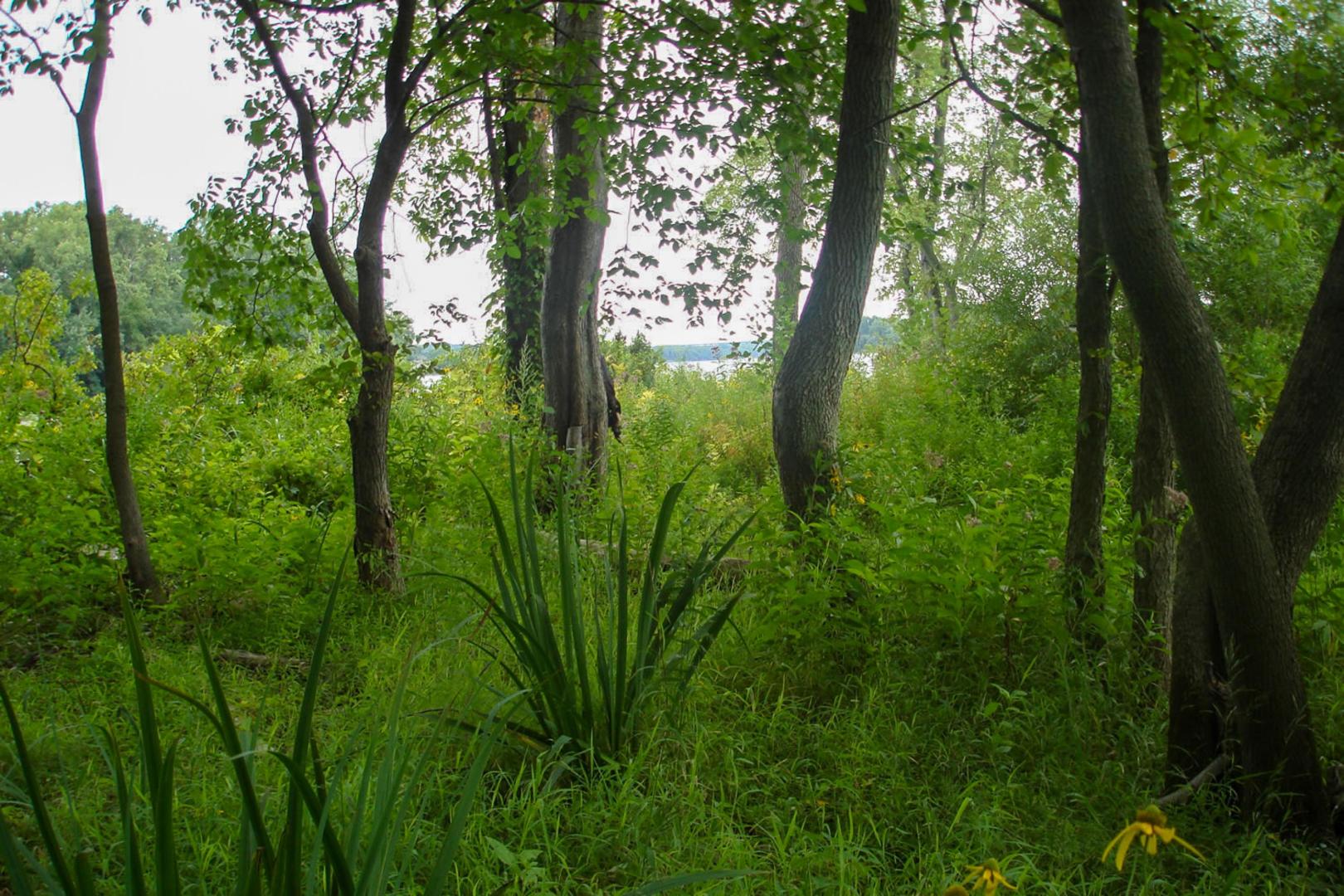 Campbell Island on the Hudson River – Private island in New York, United States