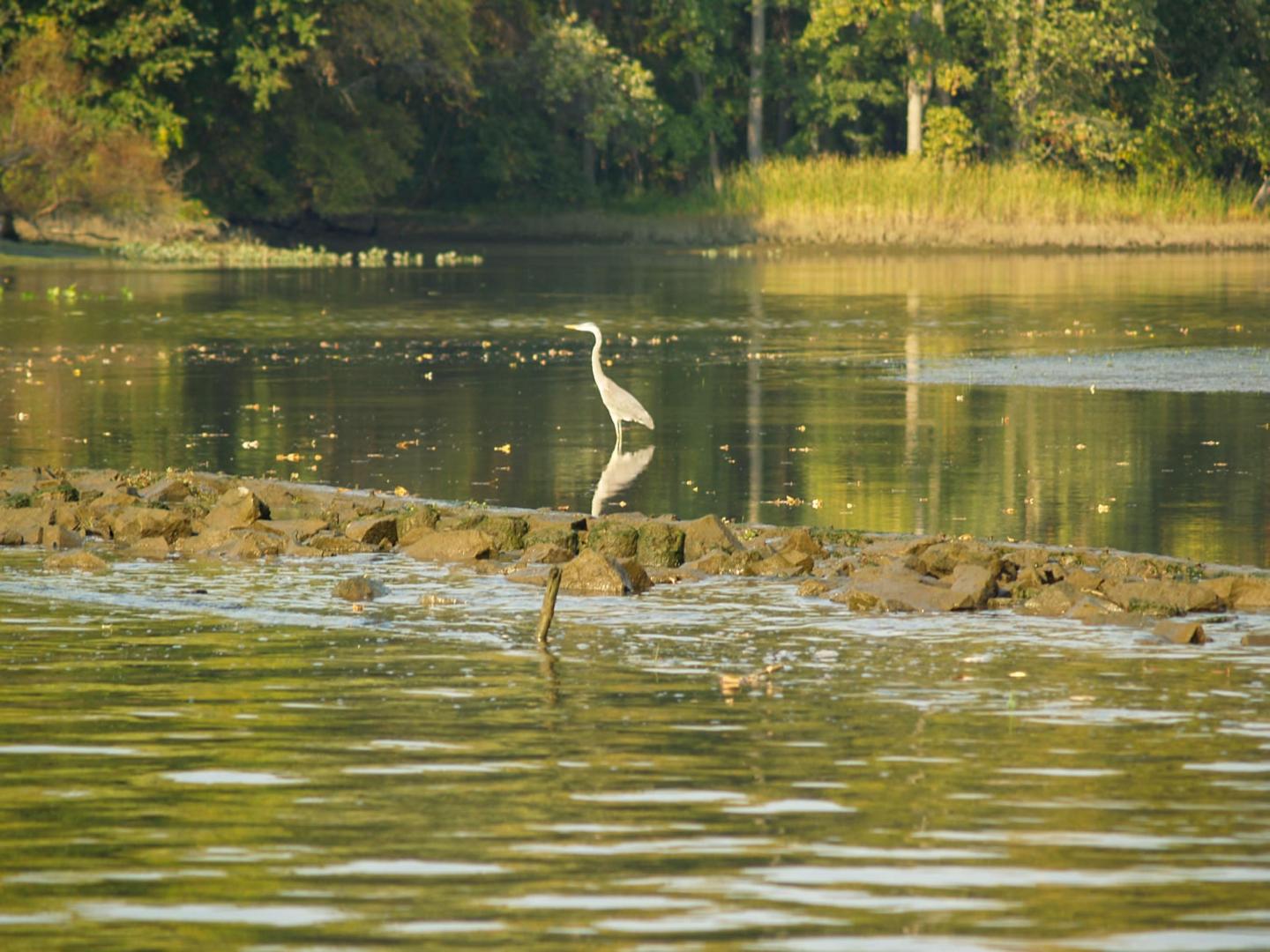 Campbell Island on the Hudson River – Private island in New York, United States