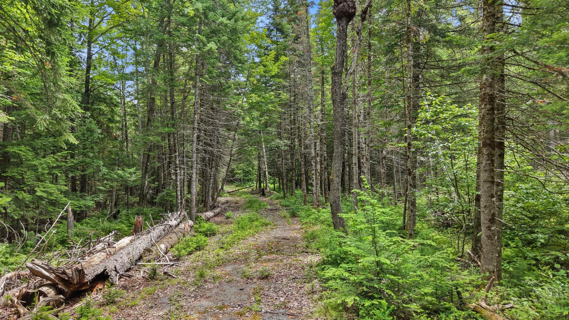 Faith Island – Private island in Maine, United States