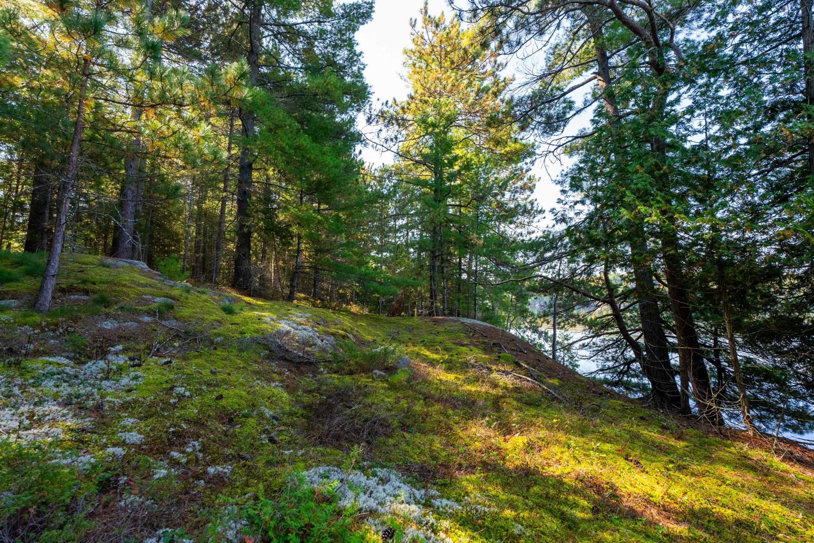 Brown Island – Private island in Ontario, Canada