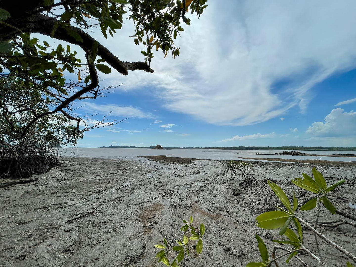 Eco Island Sanctuary, Darien Panama – Private island in Panama, Central America