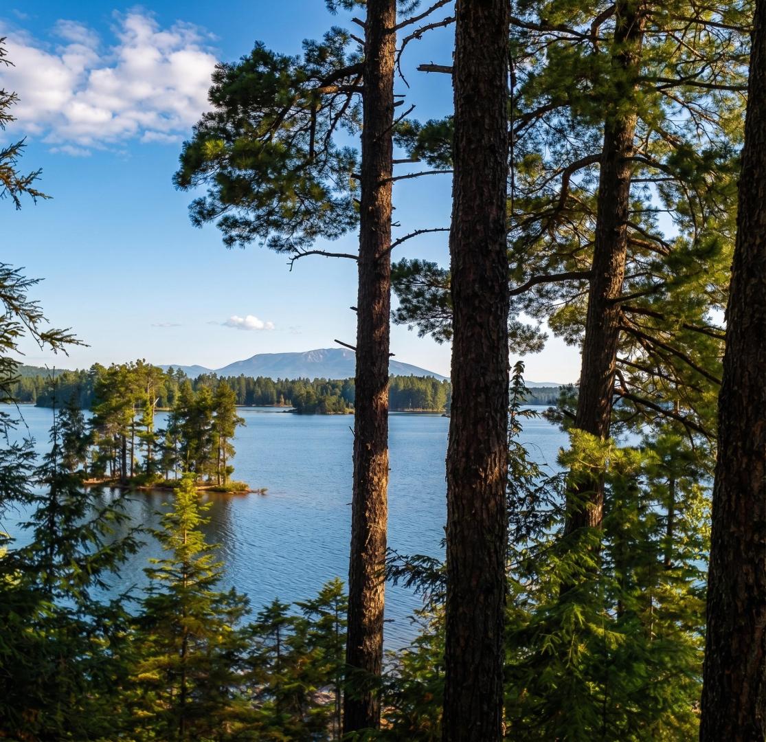 Duck Island – Private island in Maine, United States