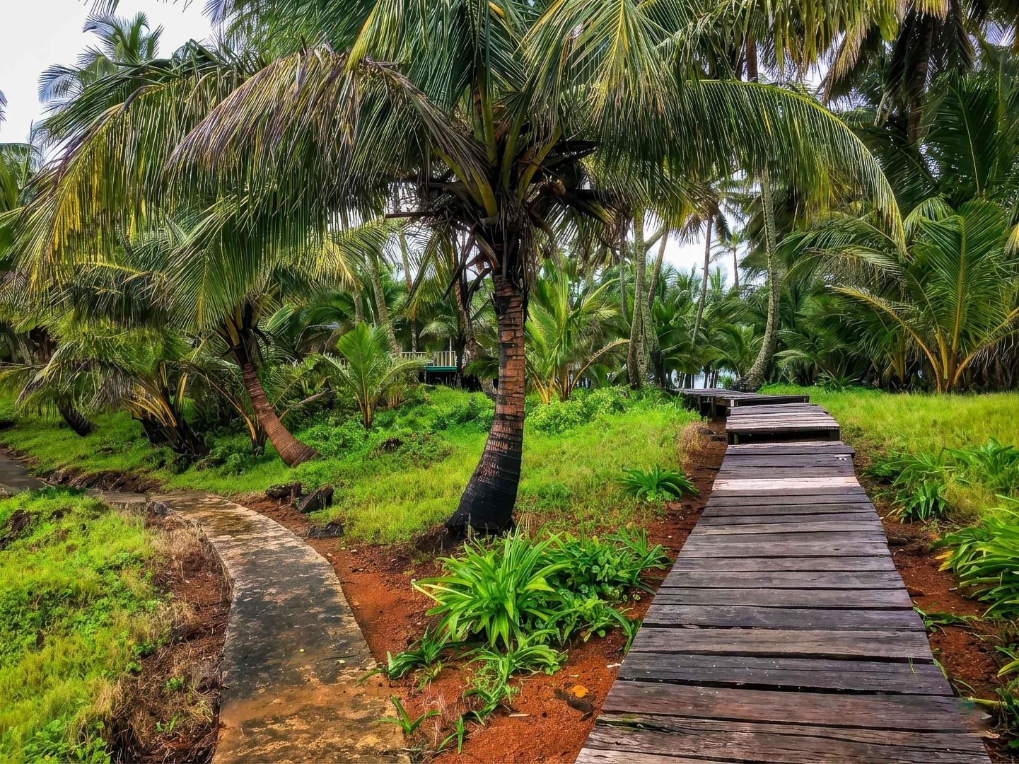 Iguana Island – Private island in Nicaragua, Central America