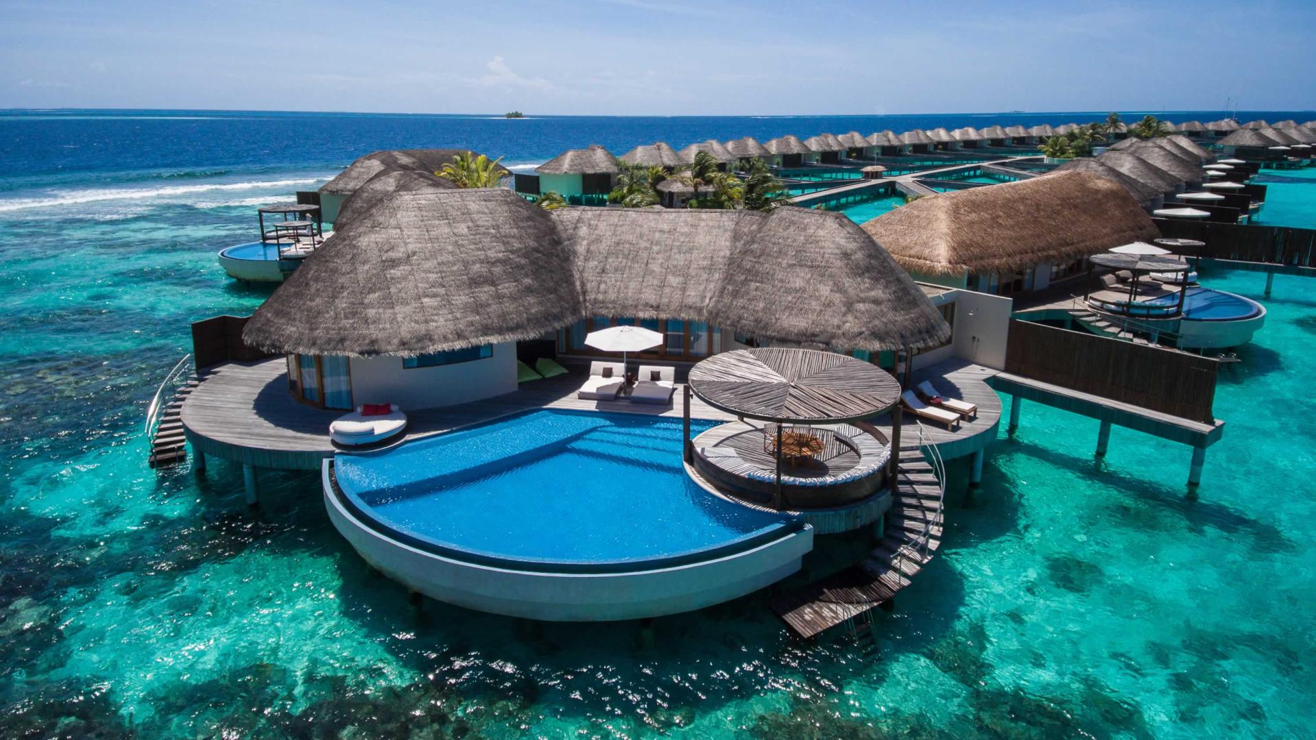 W Maldives image