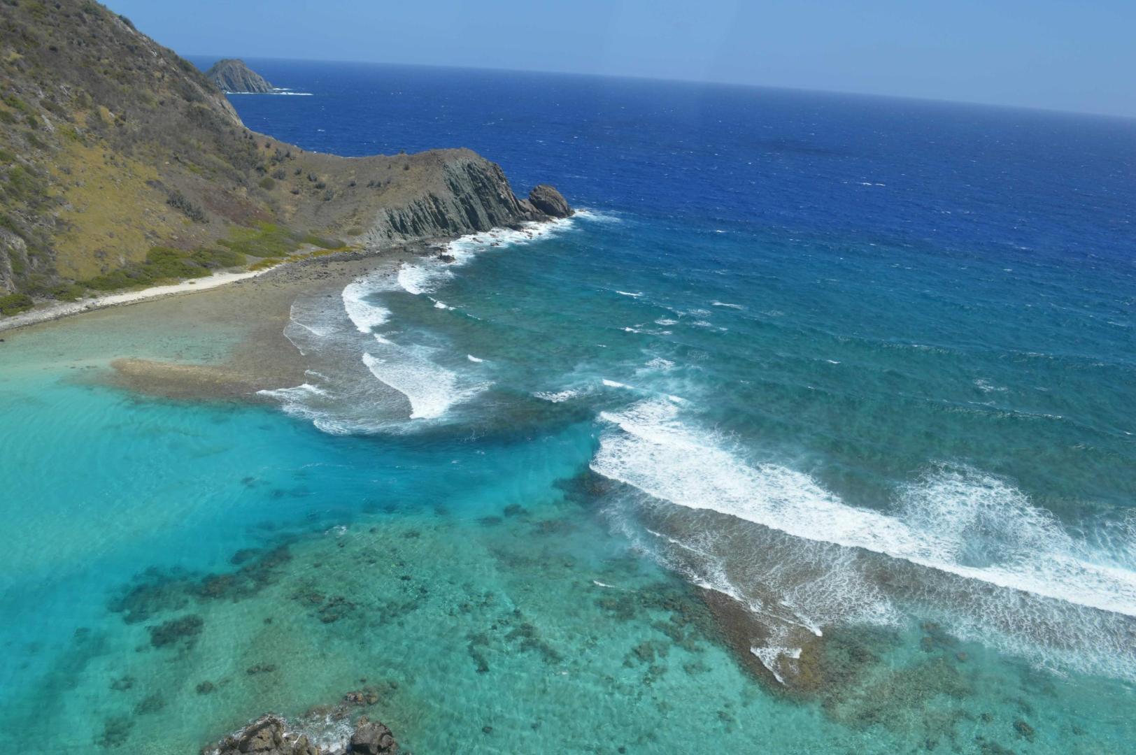 Ginger Island image