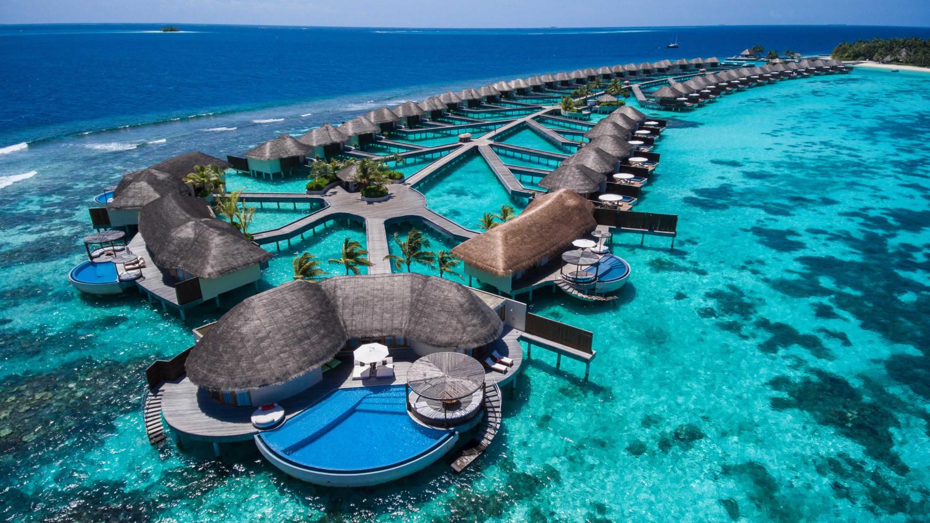 W Maldives image