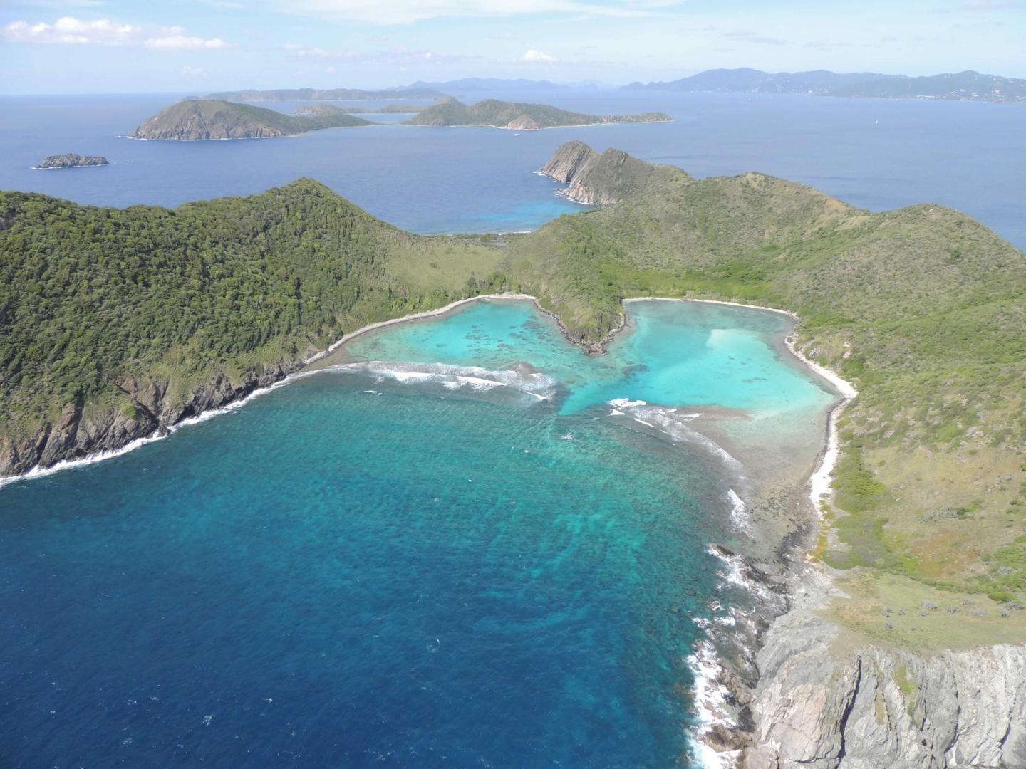 Ginger Island image