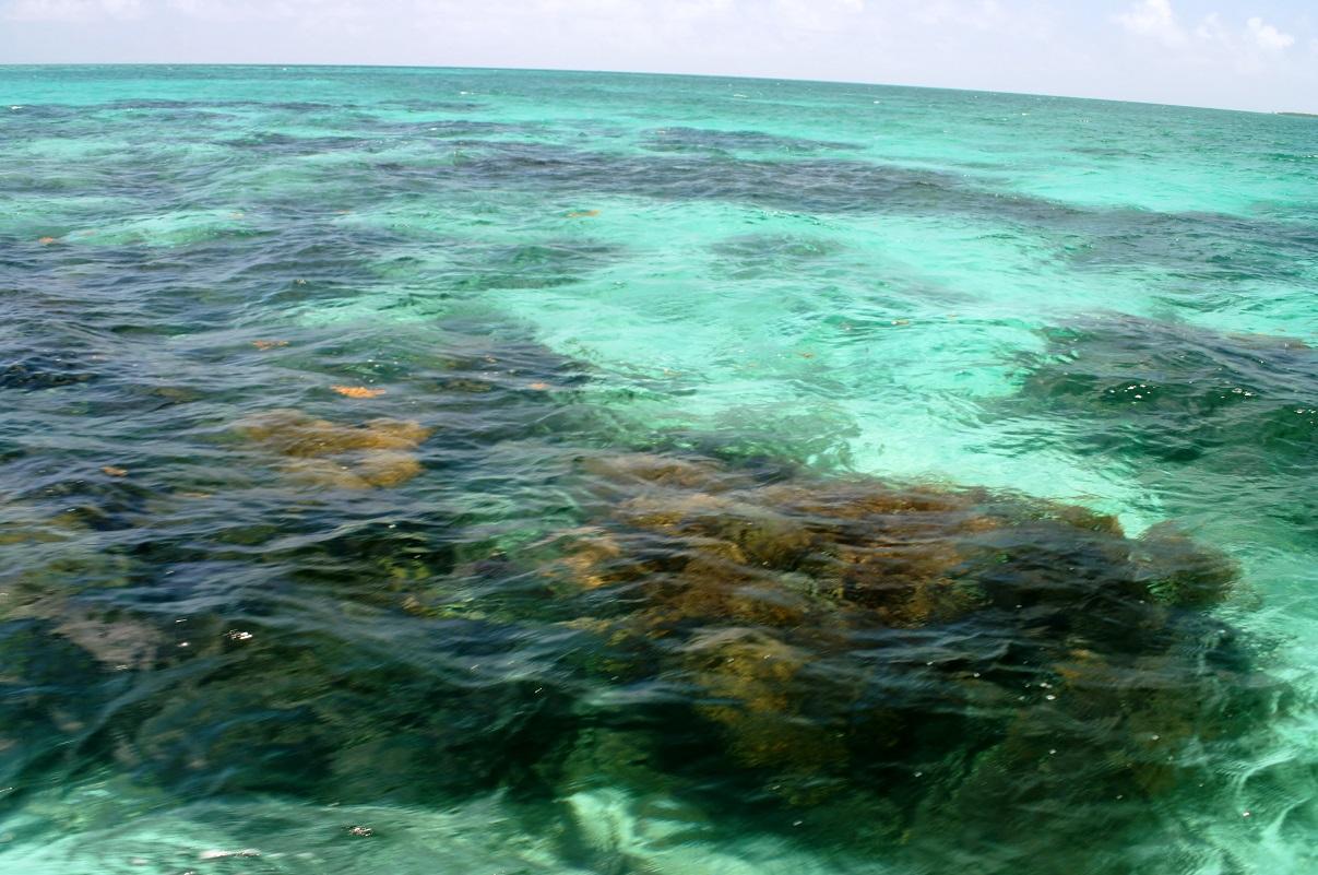 Crawl Caye (Belize City) image
