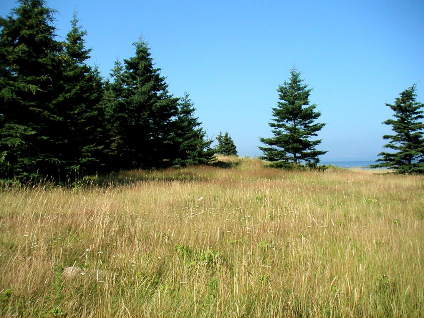 Greer Island image