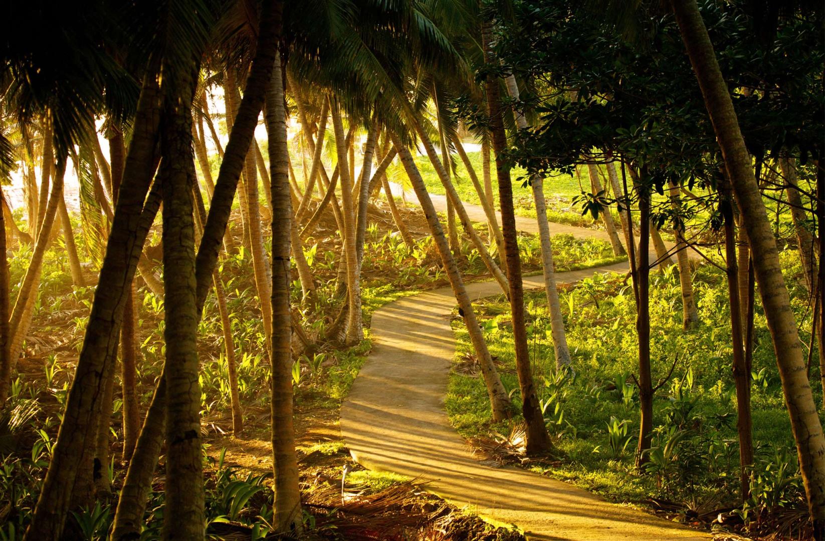 Fregate Island Private image