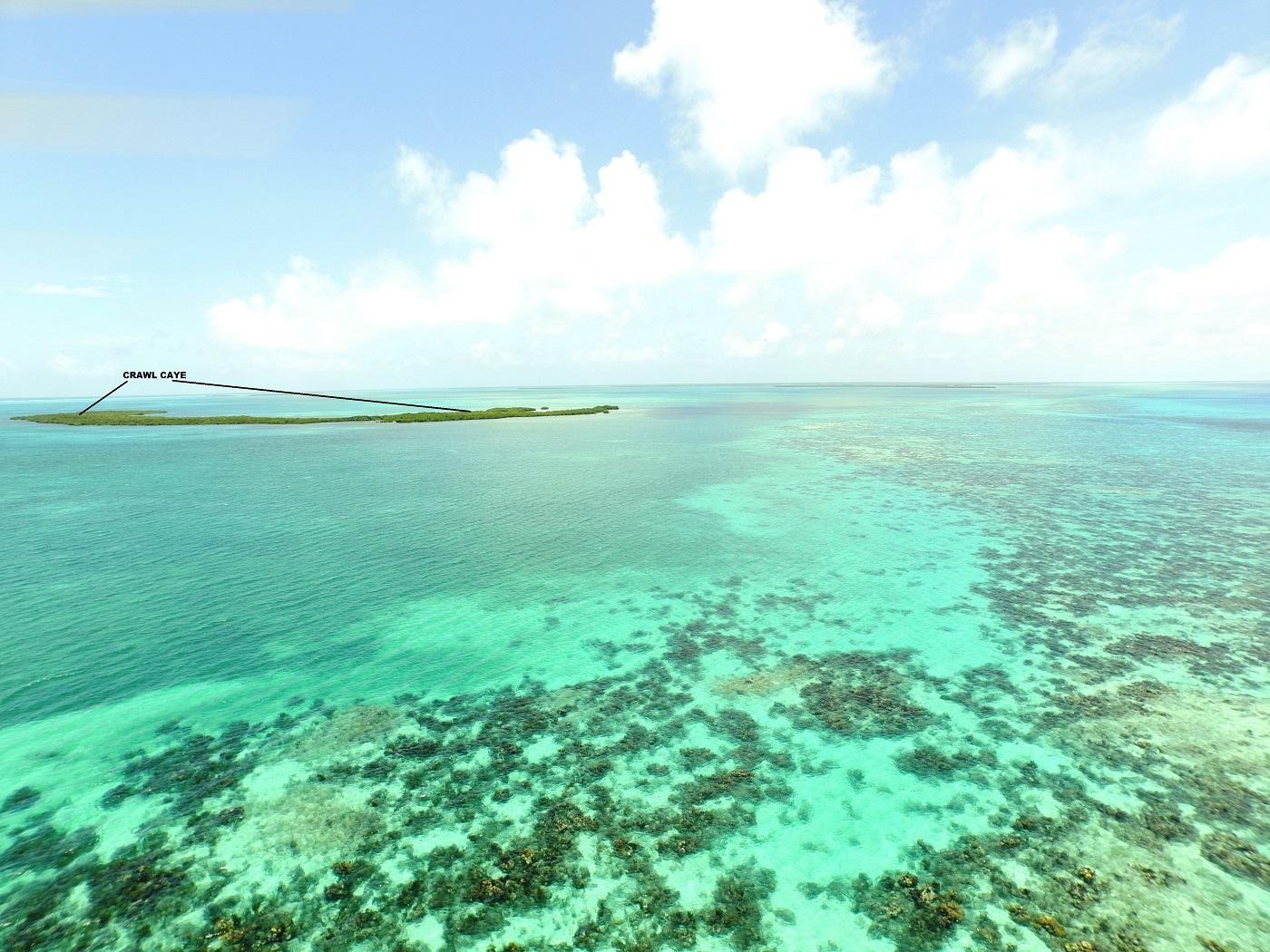 Crawl Caye (Belize City) image