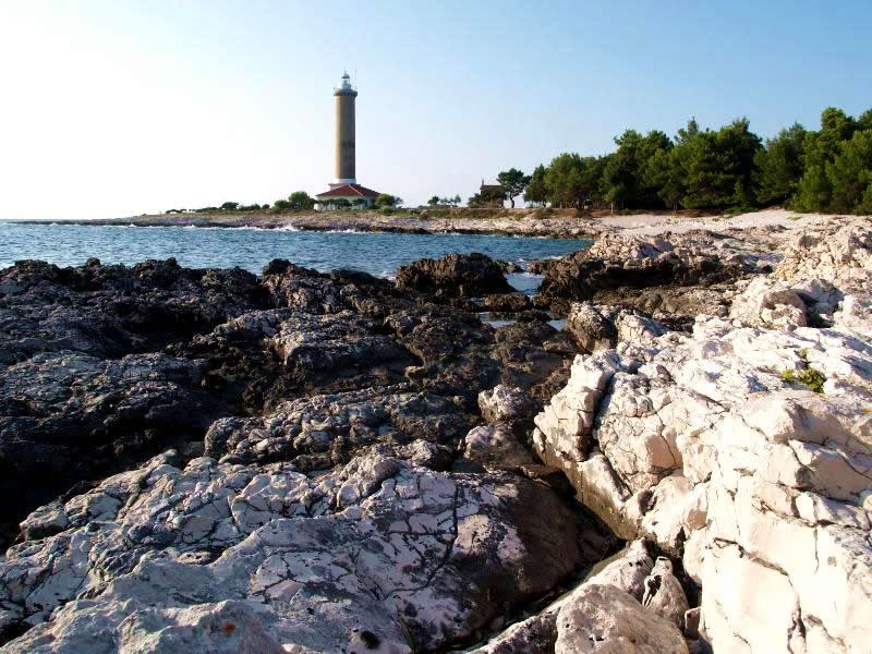 Veli Rat image