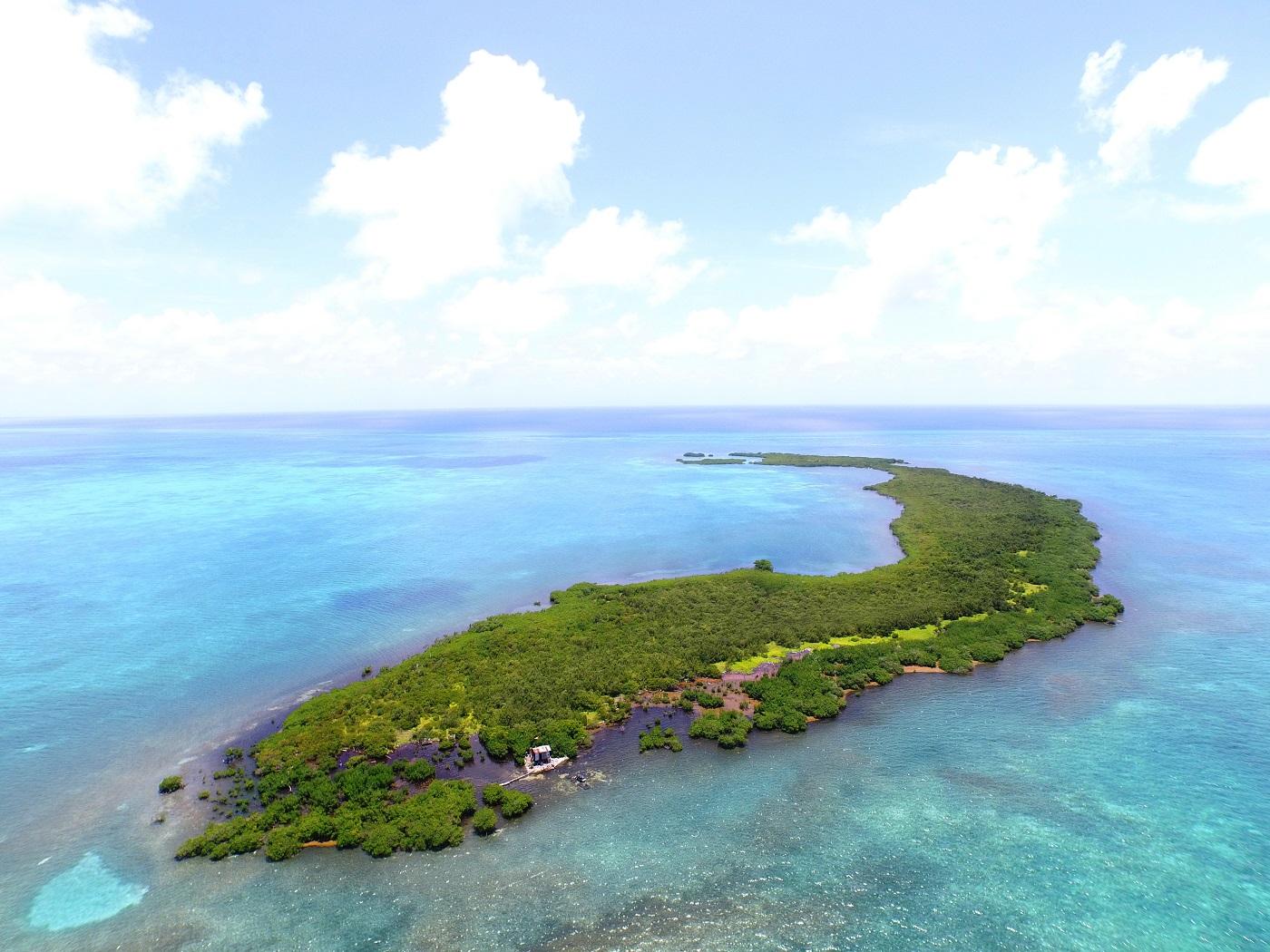 Crawl Caye (Belize City) image