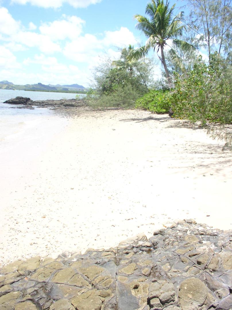 Tivi Island image