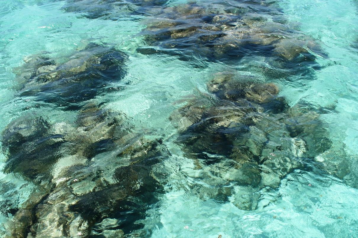 Crawl Caye (Belize City) image