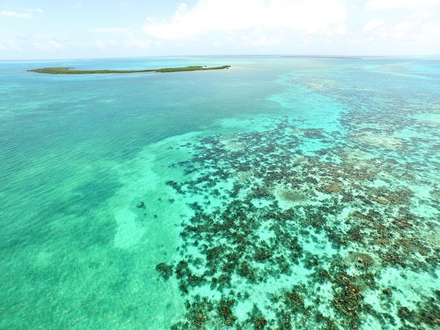 Crawl Caye (Belize City) image