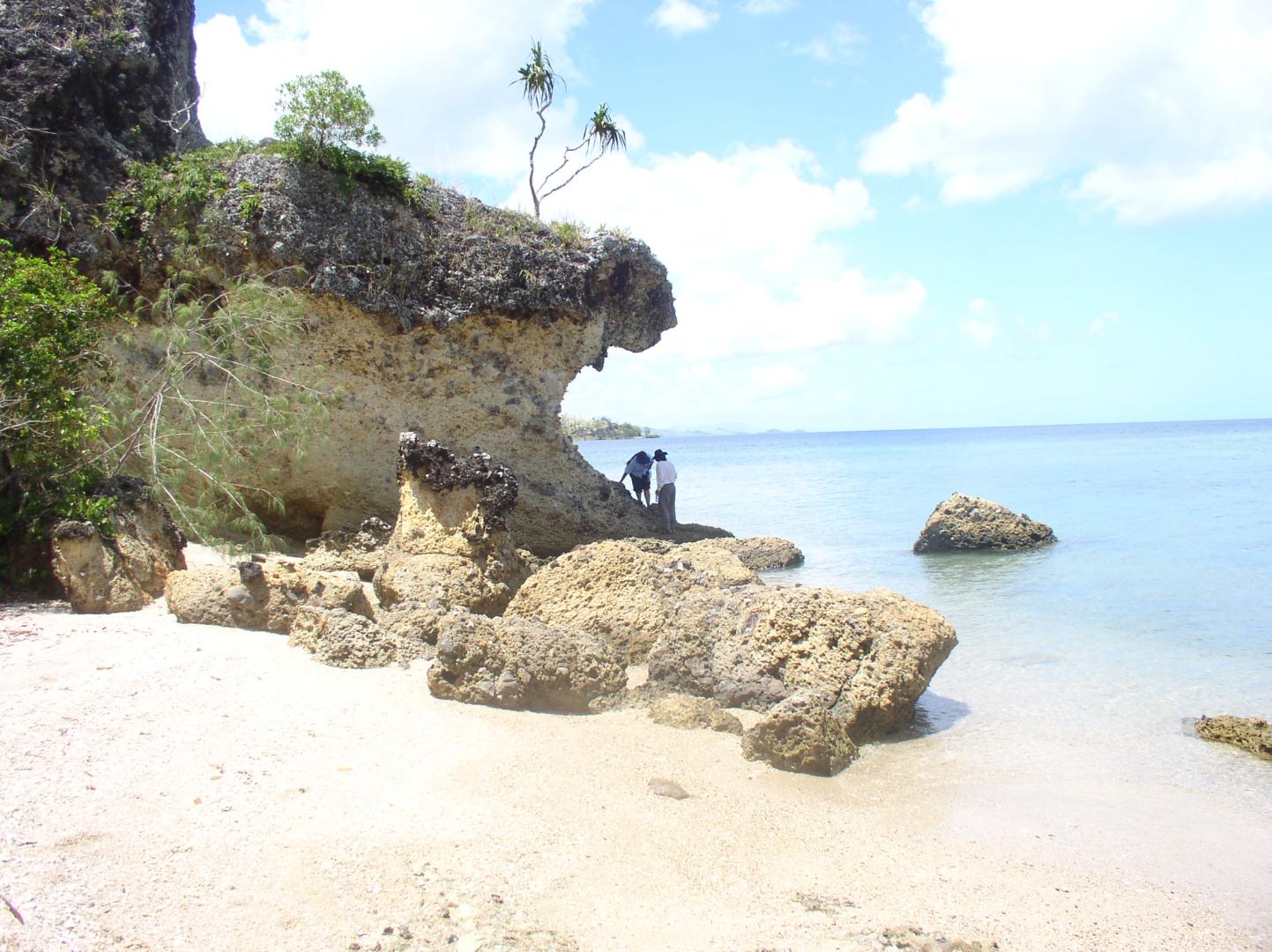 Tivi Island image