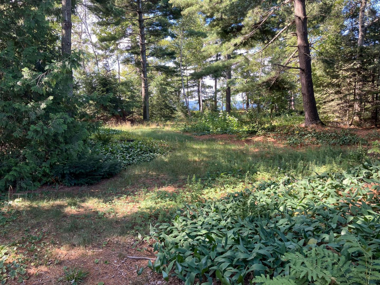 Lonely Island – Private island in Northern Ontario, Ontario, Canada