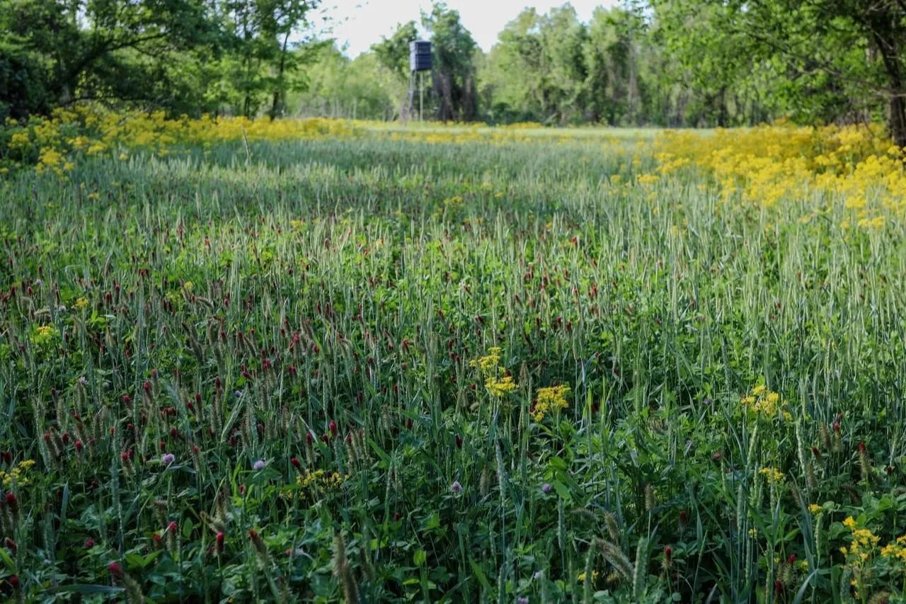 Lost Brake: The Island – Private island in Missouri, United States