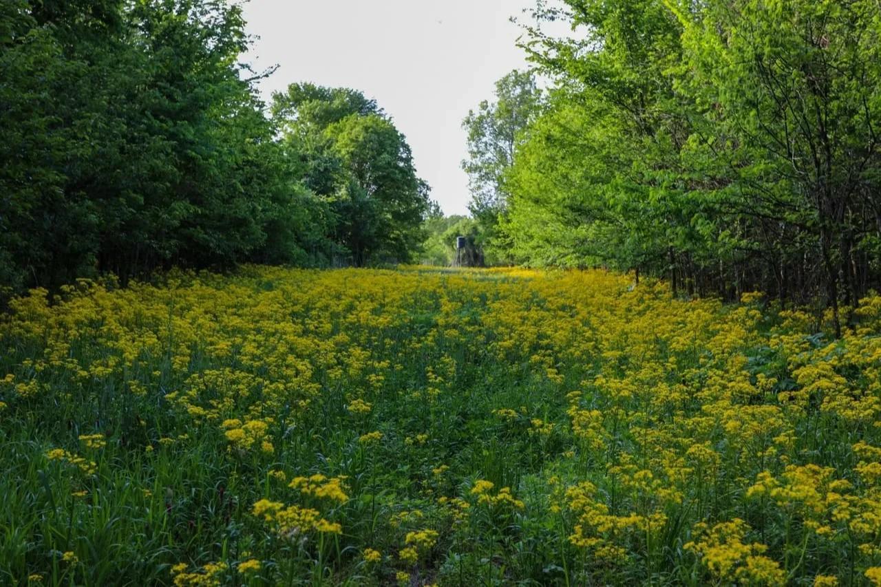 Lost Brake: The Island – Private island in Missouri, United States