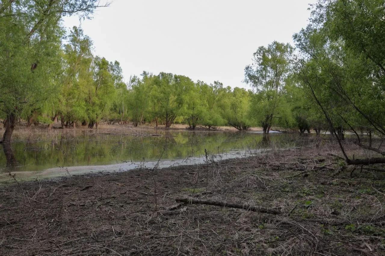 Lost Brake: The Island – Private island in Missouri, United States