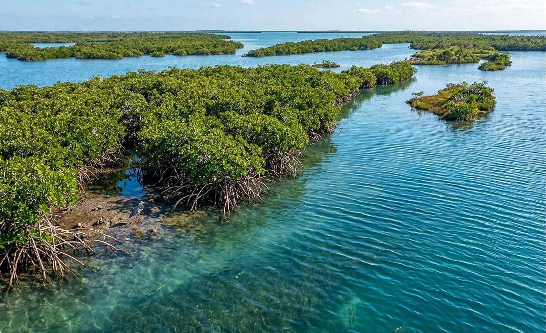 Oculus Caye – Private island in Belize, Central America