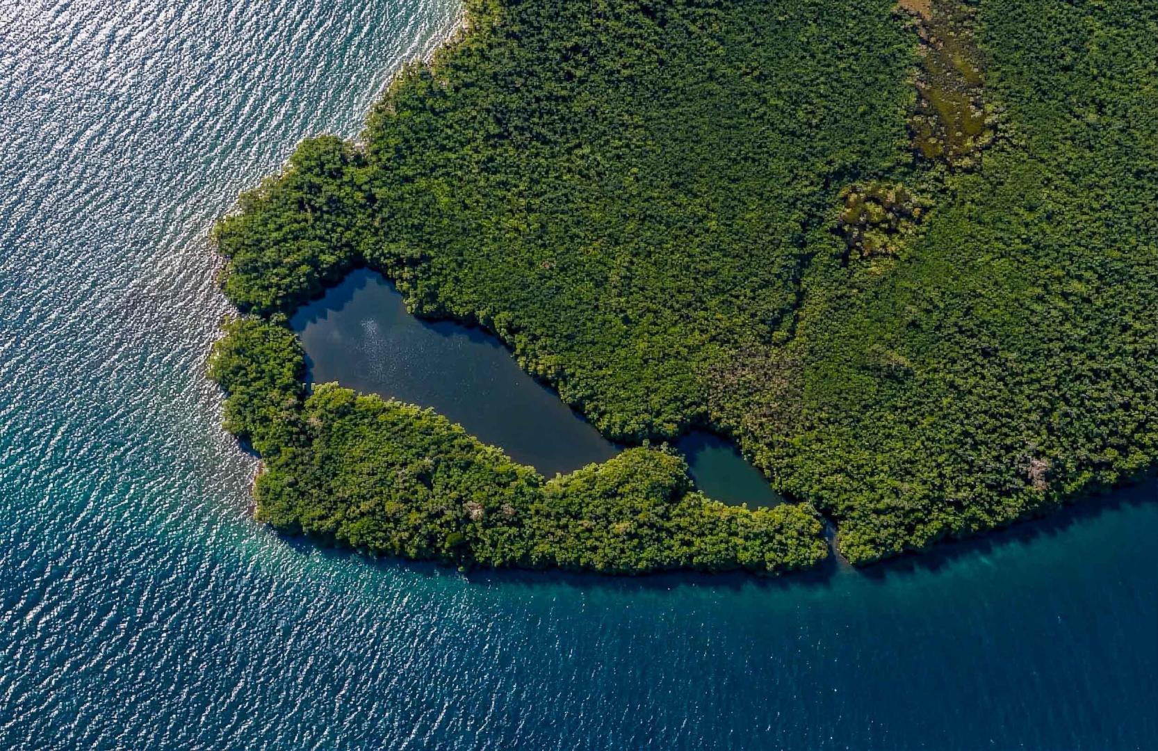 Oculus Caye – Private island in Belize, Central America