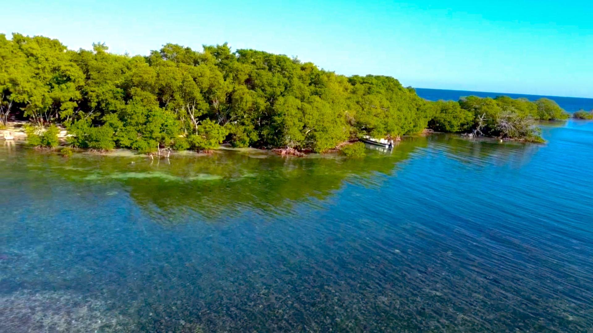 Pelican Caye – Private island in Belize, Central America