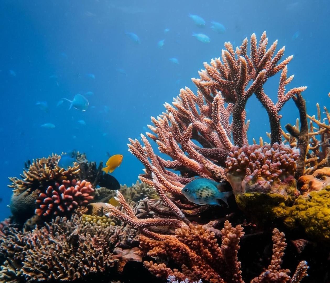 Ratua Island – Private island in Vanuatu, South Pacific