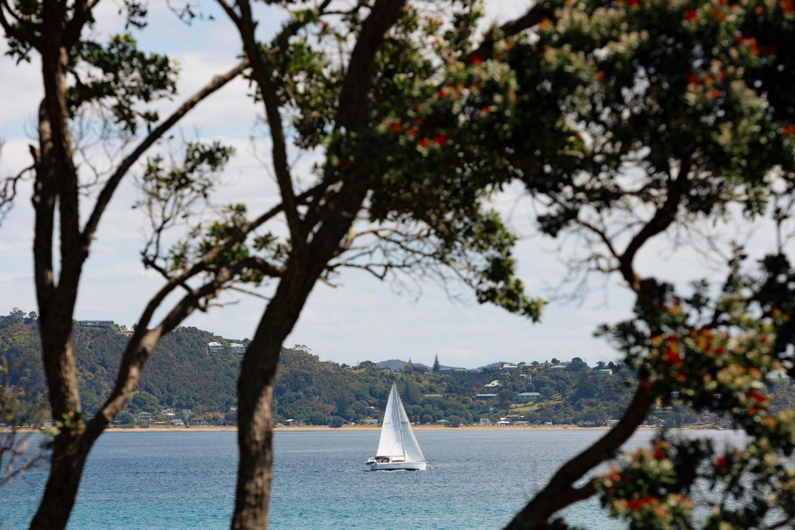Roberton Island Estate – Private island in New Zealand, South Pacific