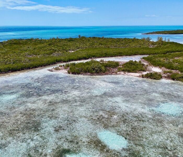 Sand Dollar Cay – Private island in The Berry Islands, Bahamas, Caribbean