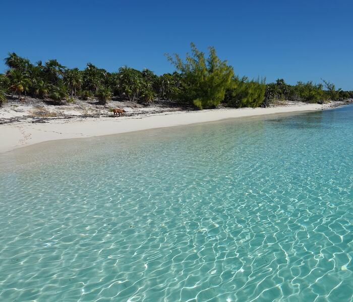 Sand Dollar Cay – Private island in The Berry Islands, Bahamas, Caribbean