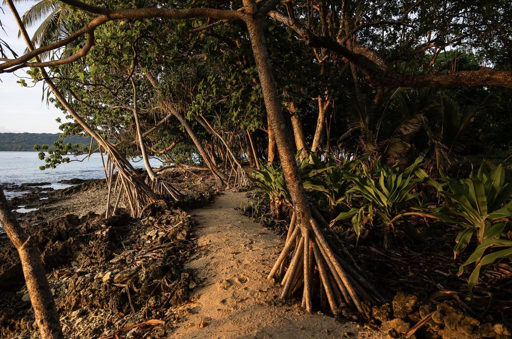 Deeper Love Island Resort – Private island in Vanuatu, South Pacific