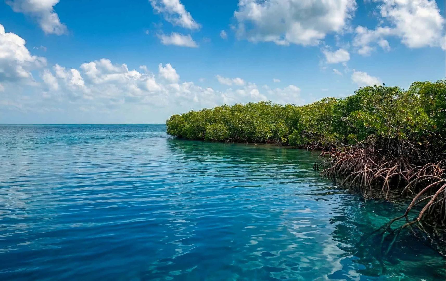 Sirena Caye – Private island in Belize, Central America