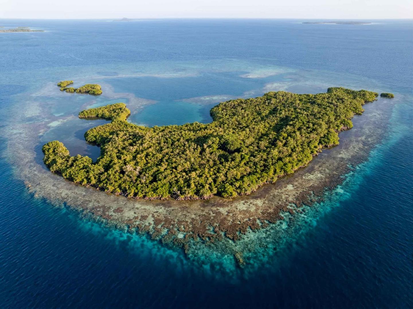 Wild Orchid Caye – Private island in Belize, Central America