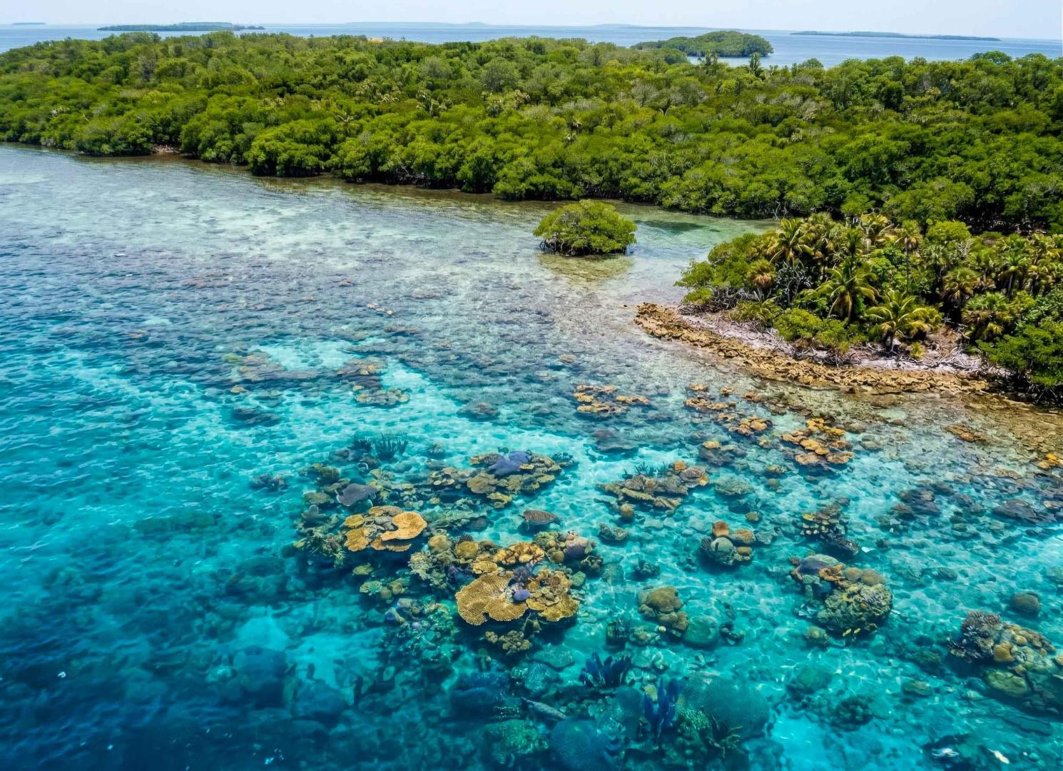Wild Orchid Caye – Private island in Belize, Central America