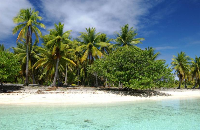 Motu Tohepuku image